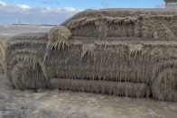 Egy éjszaka alatt jégszoborrá váltak az autók 1