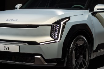 Rovararcú óriás a Kiától