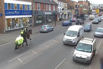 Így kapták el lovas rendőrök a szabálytalan autóst