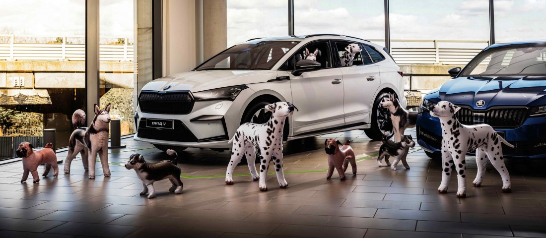 A Škoda újításának minden kutyás örülni fog