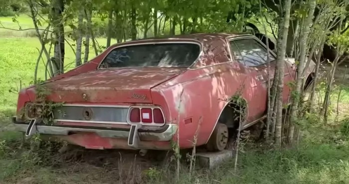 30 évig csücsült egy legelőn ez a Mustang, itt az ideje életre kelteni 1