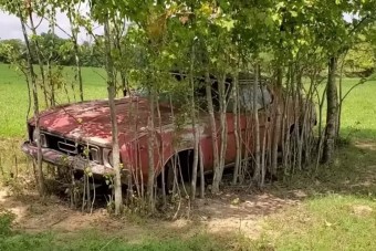 30 évig csücsült egy legelőn ez a Mustang, itt az ideje életre kelteni