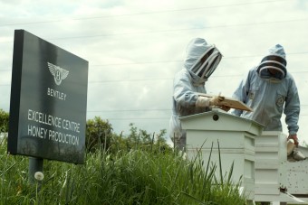 400 ezer dolgozóval bővített az autógyártó