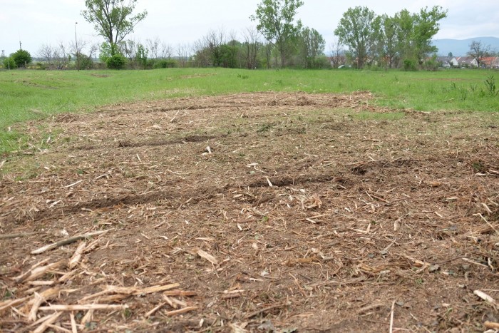 Lánctalpas pusztító a hátsó kertben 12