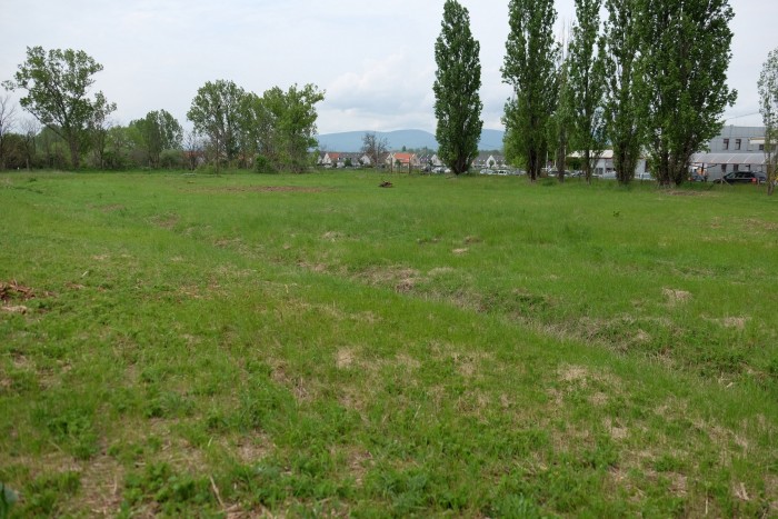 Lánctalpas pusztító a hátsó kertben 13