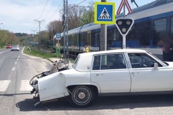 Szemet gyönyörködtető ritkaságot zúztak le a vasúti átjáróban a Balatonnál