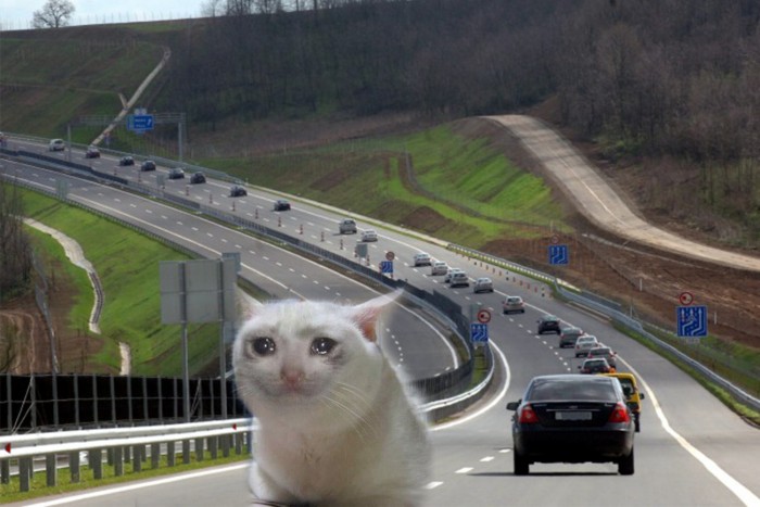 Napi cukiság az M6-os autópályán