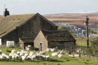 Autópályát szel ketté a farm, amiből nincs még egy a világon 2