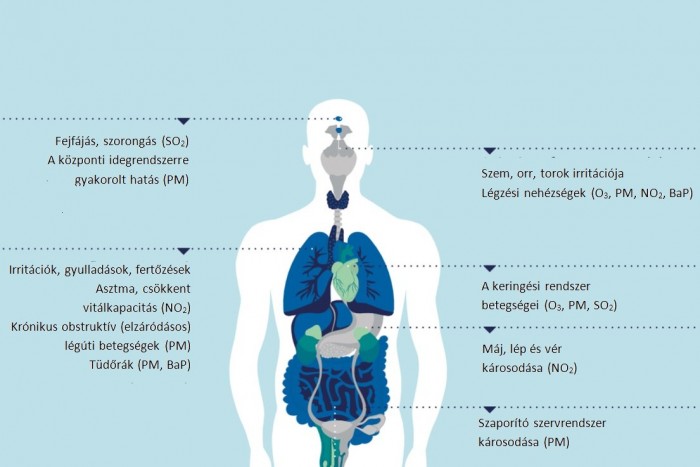 Életet mentenek a füst nélküli autók 4 | Vezess Életet mentenek a füst nélküli autók 4