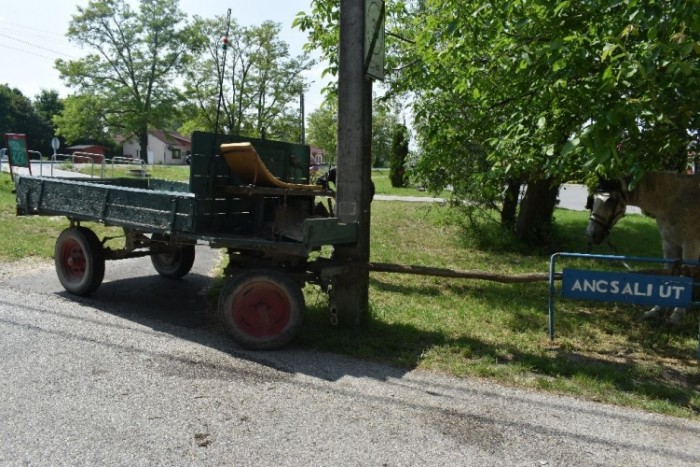 A rendőrök is pislantottak egy nagyot, amikor kiérkeztek a győrzámolyi balesethez 1 | Vezess A rendőrök is pislantottak egy nagyot, amikor kiérkeztek a győrzámolyi balesethez 1