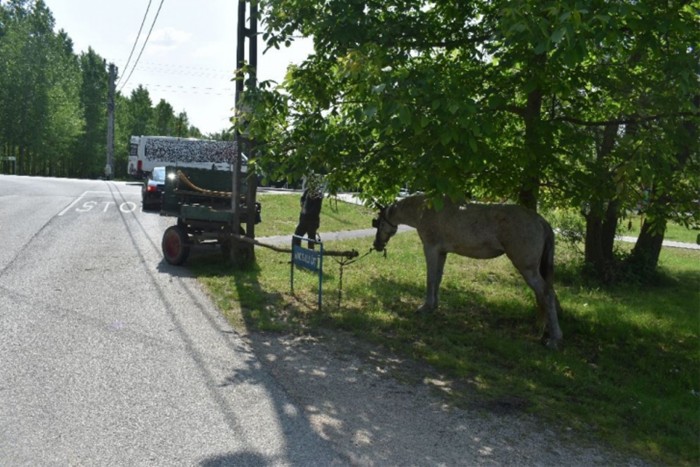 A rendőrök is pislantottak egy nagyot, amikor kiérkeztek a győrzámolyi balesethez