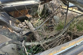 16 évet töltött víz alatt, most újraélesztik