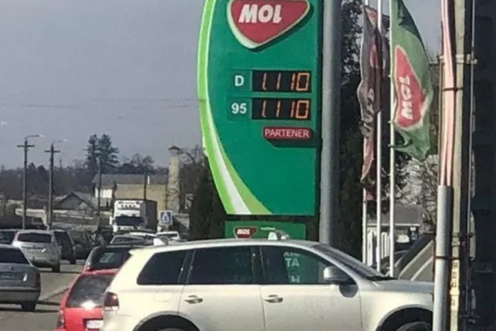 Megint lekapcsolták a romániai Mol-kutast, aki tömeghisztériát okozott az országban