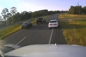 Egy teknős benította meg teljesen az autópályát