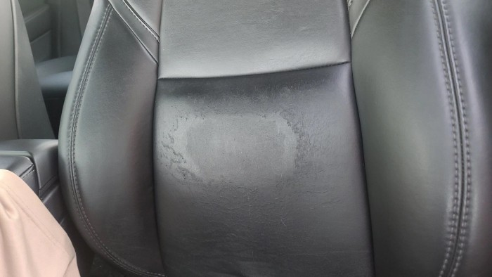 Mállik, foszlik, hámlik a vegán bőr egyes Teslák belterében 1