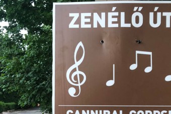 Új zenélő út Magyarországon, ki nem találod milyen dallamot játszik