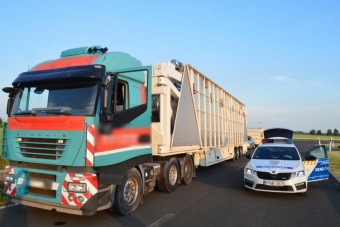Megállítottak egy óriáskereket az M6-oson, nagy szöveggel próbálkozott a sofőr