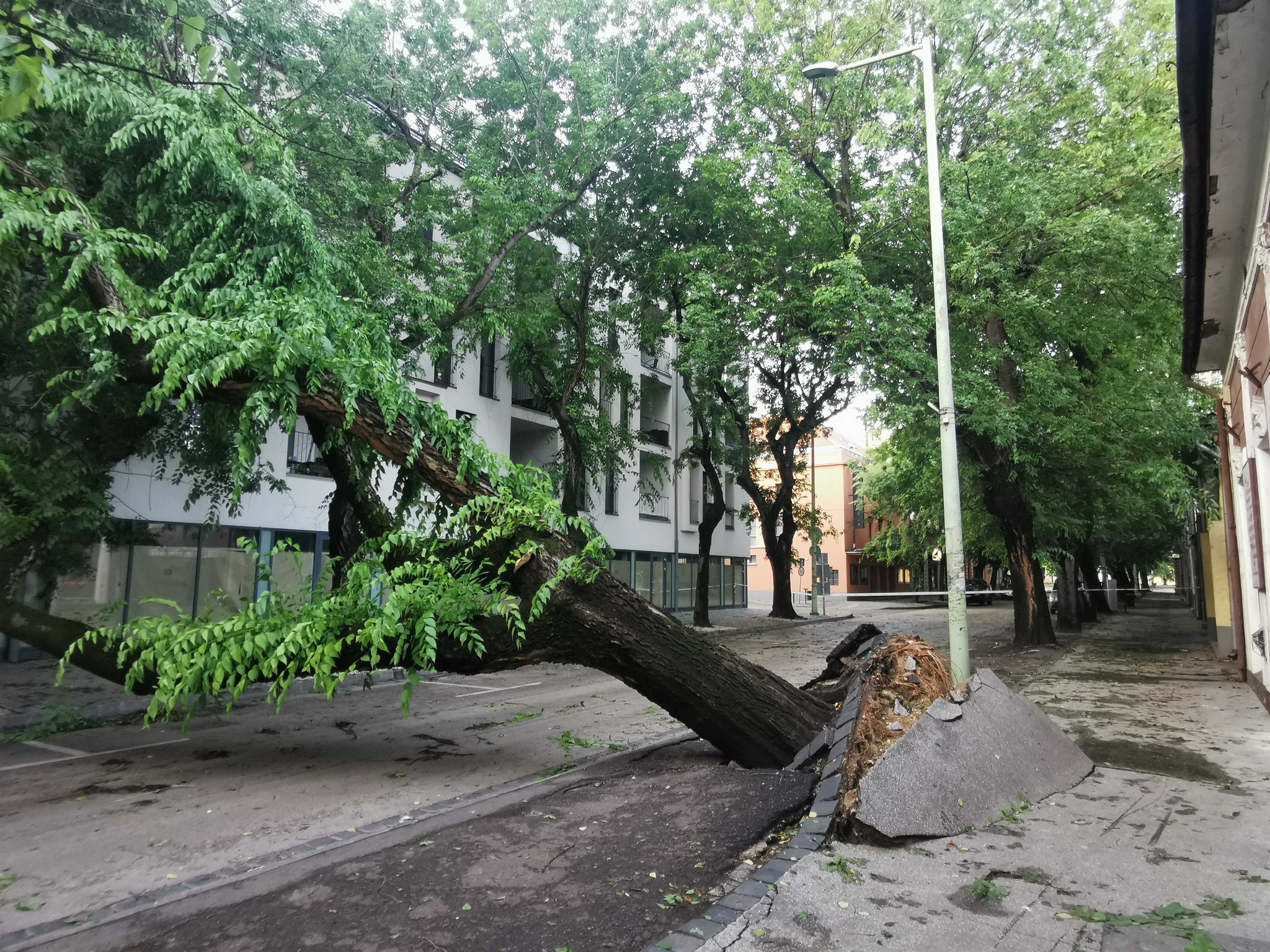 Galéria: így pusztított a vihar péntek éjszaka az országban 6