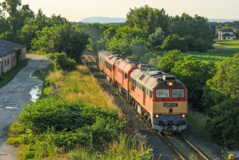 A MÁV bakiján röhög az egész ország
