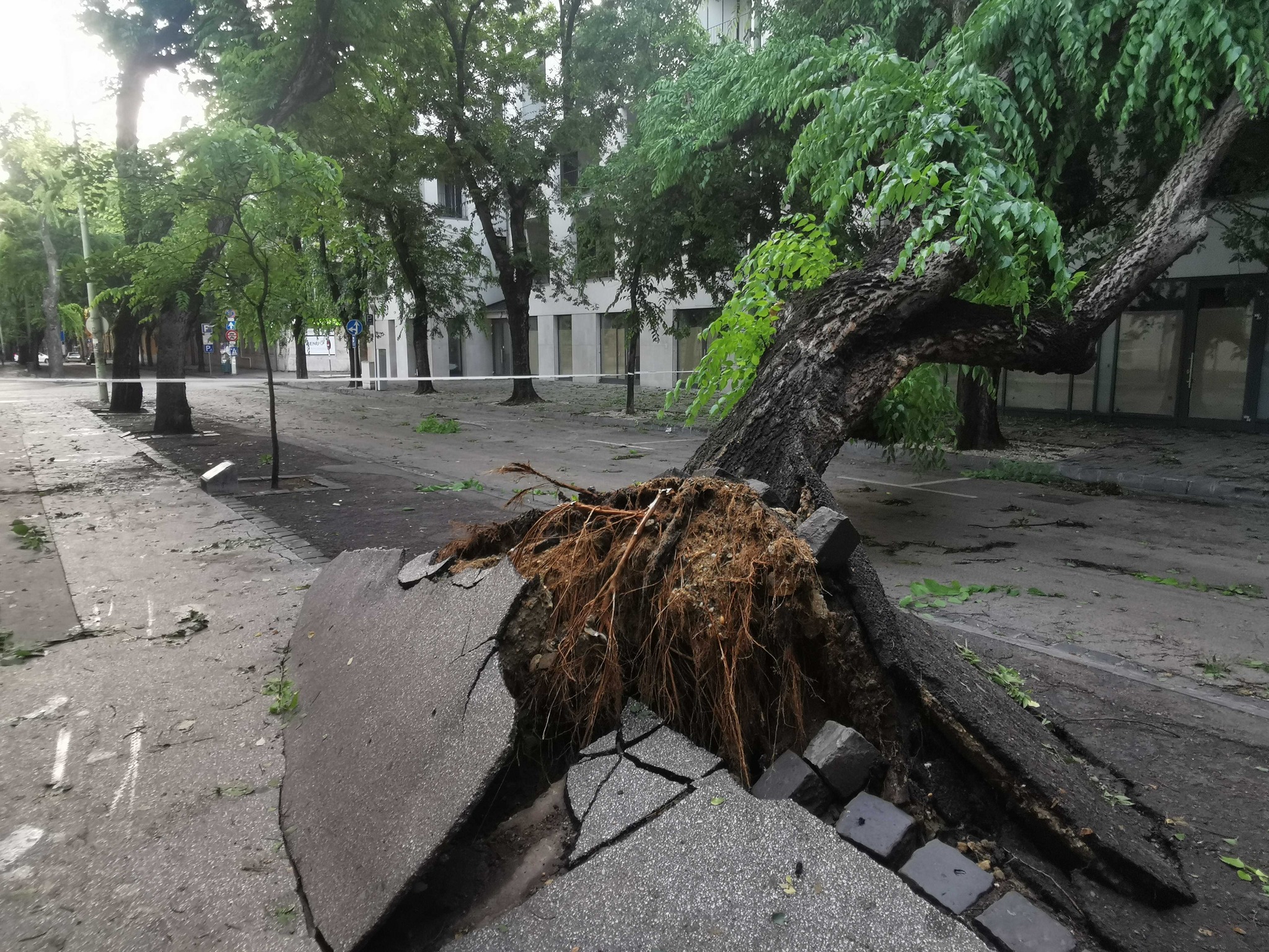 Galéria: így pusztított a vihar péntek éjszaka az országban 7