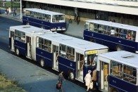 Te tudtad, miért ilyen színűek a budapesti buszok? 21