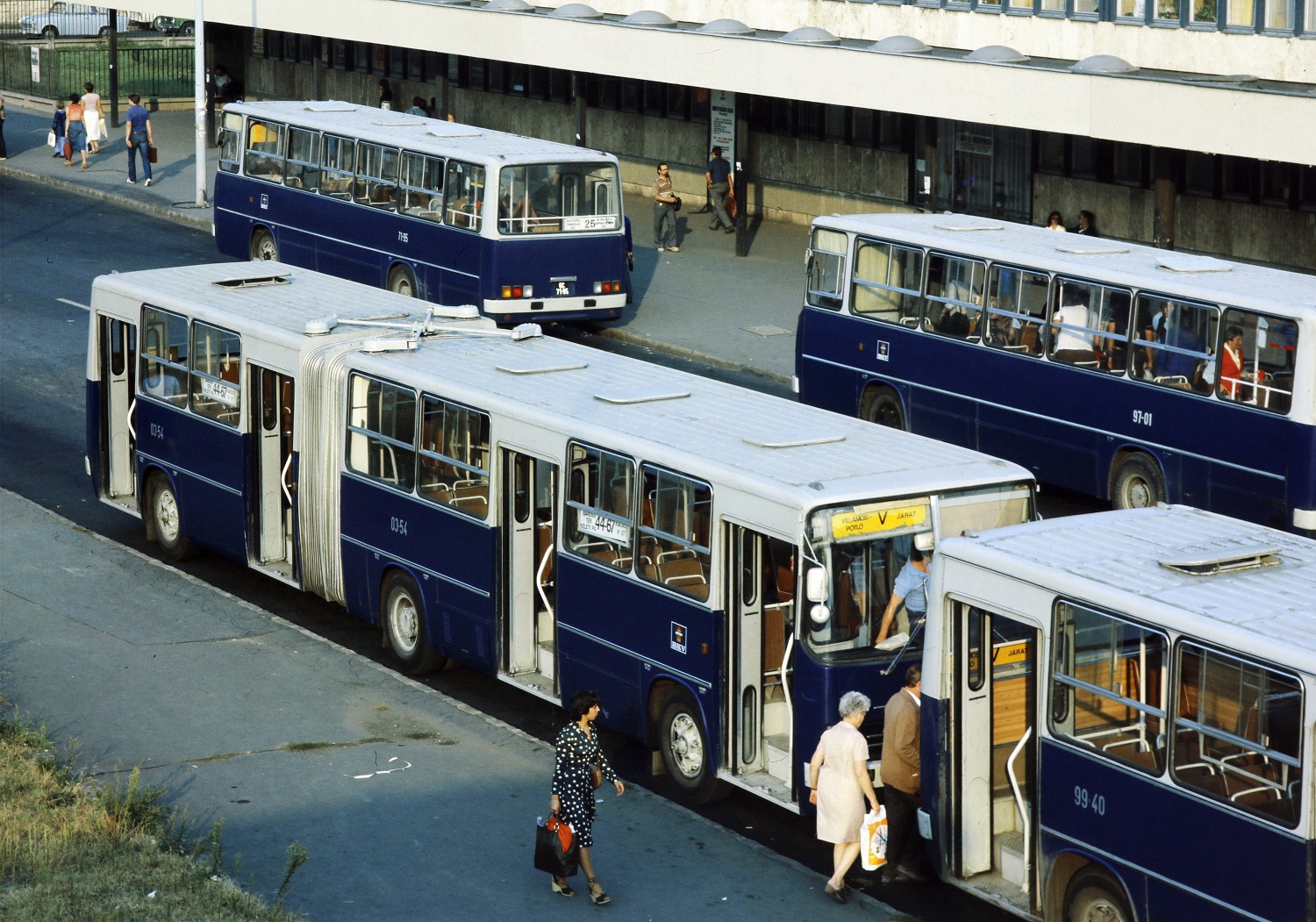 Te tudtad, miért ilyen színűek a budapesti buszok? 7