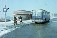 Te tudtad, miért ilyen színűek a budapesti buszok? 22