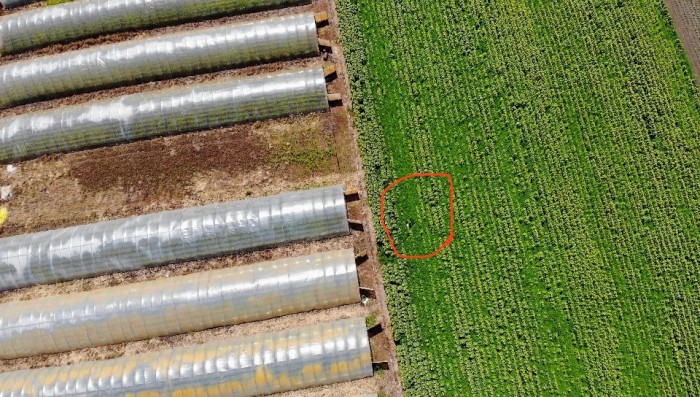 Napraforgótáblán ért véget az üldözés Jászfényszarunál 2