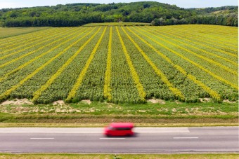 Napraforgótáblán ért véget az üldözés Jászfényszarunál