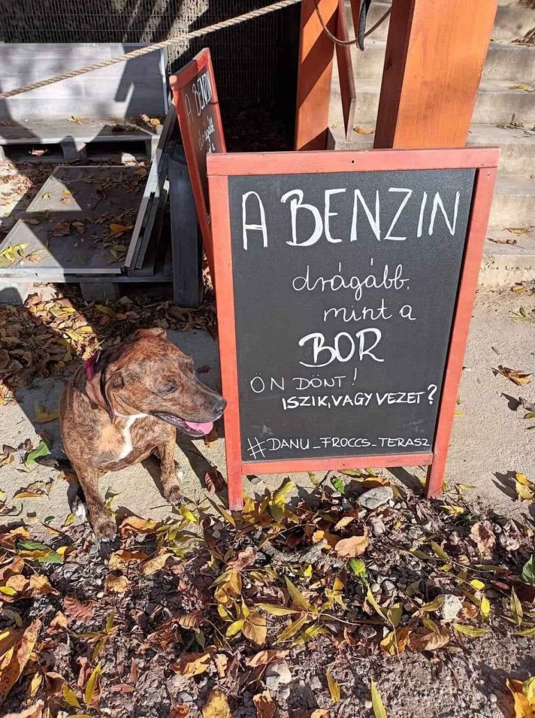 Egy kecskeméti kocsmánál nyitottak dimenziókaput 3