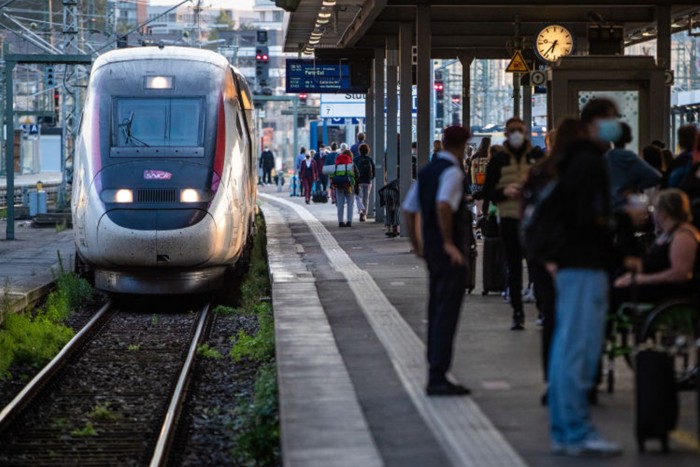 Macskát gázolt a vonat, nem ússza meg olcsón a vasúttársaság