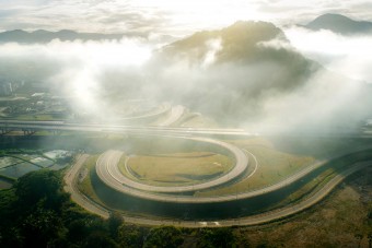 Az emberiség ezt is elpusztította, nincs belőle több a vadonban