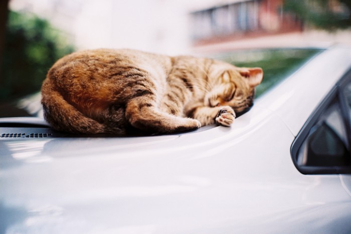 Kőkemény módszerrel tüntették el a tilosban parkolókat Japánban 3 | Vezess Kőkemény módszerrel tüntették el a tilosban parkolókat Japánban 3