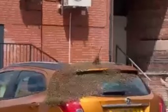 Vett egy új autót, három nappal később kellemetlen meglepetés érte