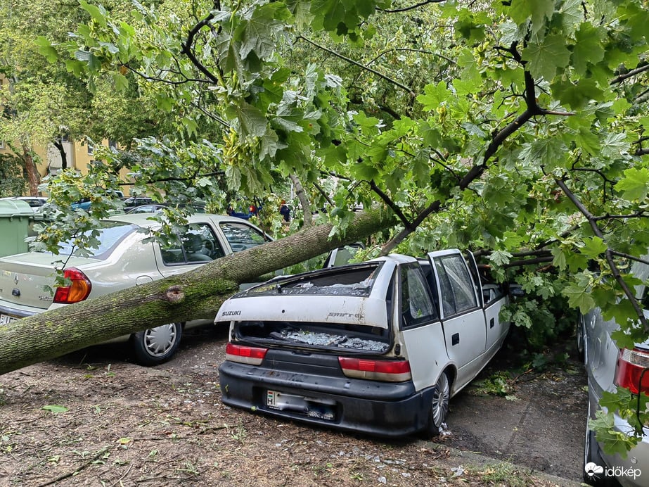 Pusztított a vihar, több ezer bejelentés érkezett a katasztrófavédelemhez 2 | Vezess Pusztított a vihar, több ezer bejelentés érkezett a katasztrófavédelemhez 2