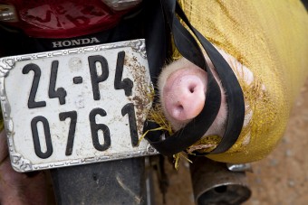 Szerencsét hozó rendszámért fizettek a babonás motorosok