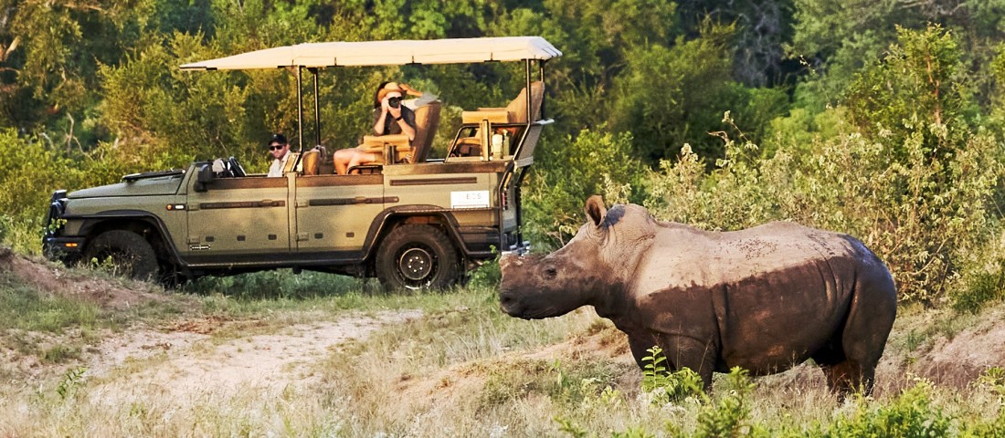 Vadállatok közé hajthatsz ezzel az autóval