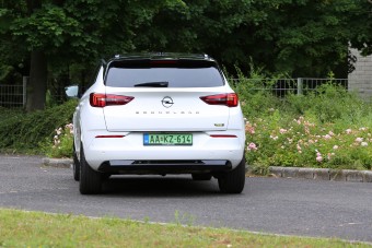 Rekordokat döntöttek a hazai zöld rendszámos autók