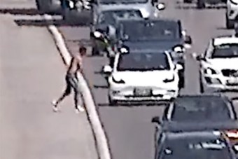 Szólította a természet, megálltak az M1-es belső sávjában