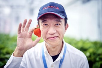 Tudtad, hogy szamócát és paradicsomot is termeszt a Toyota?