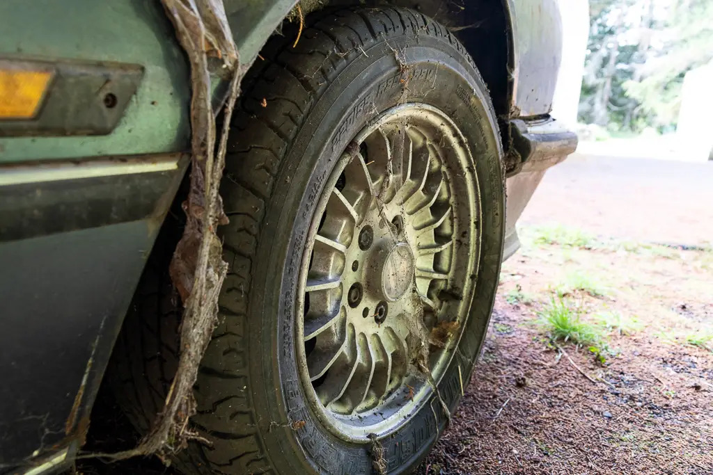 The BMW 9 rolled out of the barn screaming for a new opportunity