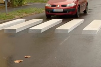 Átadták a legújabb magyar csodazebrát, jó helyre került