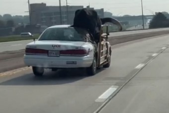 Marha jó: alig hitték el a rendőrök, mit látnak az anyósülésen