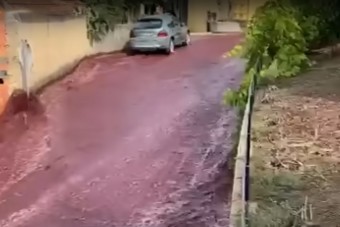 2 millió liter bor árasztott el egy portugál falut