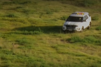 Egyáltalán nem hétköznapi autós üldözést hoztak össze egy reptéren