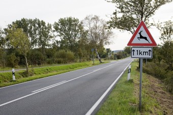 Veszély fenyeget a magyar utakon, lassítani kell