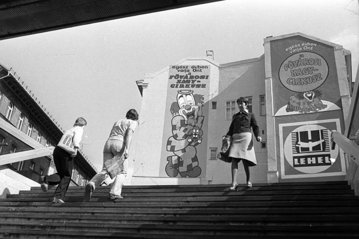 Te se halj meg a zebrán! 6 | Vezess Te se halj meg a zebrán! 6