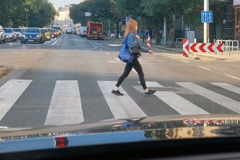 Te se halj meg a zebrán!