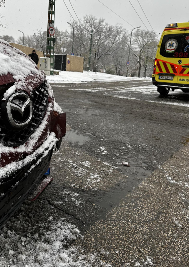 Megvan a mostani havazás legcukibb fotója 3 | Vezess Megvan a mostani havazás legcukibb fotója 3