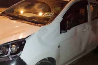 Egy egész csorda vetődött az autósra, aki elütött egy kis elefántot